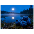 256c85ab-089d-4bae-a3d6-6171f4836fe5